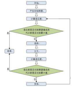 最小生成树 遗传算法 遗传算法实现排课系统 发育系统树与遗传距离的算法