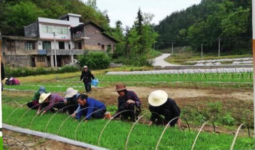 雷明老师参加的节目 雷明老师 大学生专业选择与就业 图 _雷明老师