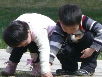 绍尔兄妹 绍尔兄妹的故事 绍尔兄妹怎么死的
