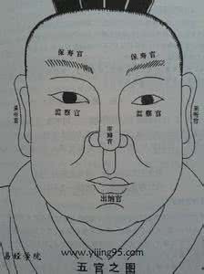 实用简易相术口诀 面相口诀简易识人术