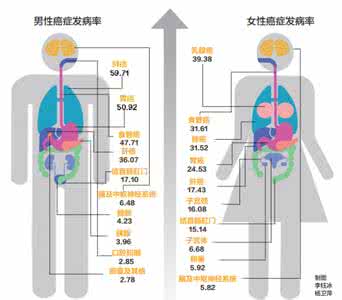 呼吸系统疾病发病率 近日呼吸系统发病率增两成 120一周共救治143例