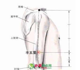 肩周炎症状按摩图 肩周炎点穴
