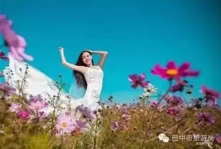 花海仓官网 花海拍照全攻略