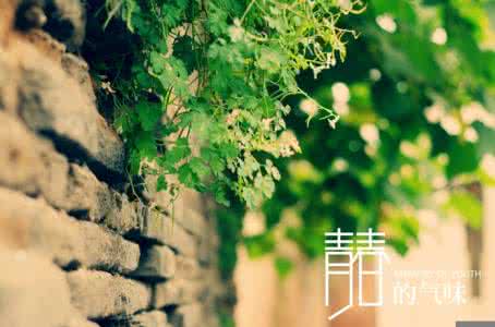 青春的味道作文600字 青春的味道