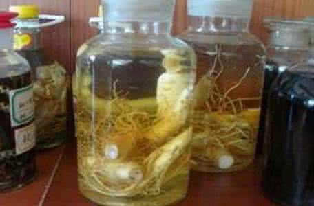 人参壮阳泡酒配方大全 鲜人参泡酒配方及功效大全，值得收藏！