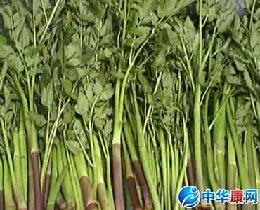 野生水芹菜有什么功效 水芹菜有什么功效