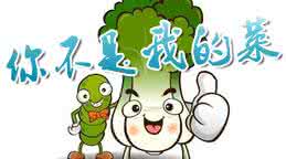 不是我的菜舞蹈视频 不是我的菜 你不是我的菜_不是我的菜