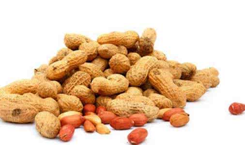 花生油桶废物利用图片 花生养生 教你如何利用花生来养生