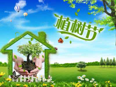 植树节我们应该做什么 植树节 让我们一起绿化心灵