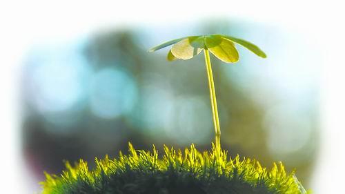 阅读带来的变化与成长 带来成长的不是伤害，而是对伤害的理解