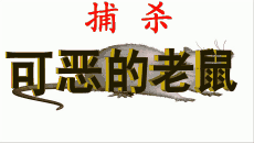 www.6534.com 捕杀可恶的老鼠/6534陈正明