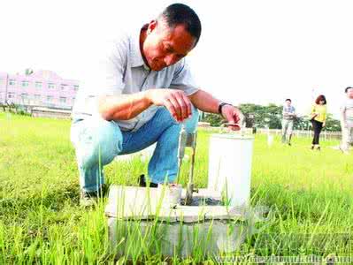 棉花栽培技术 棉花耕作栽培技术研究和应用