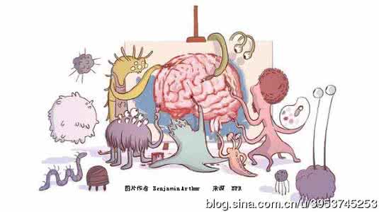 肠道微生物 肠道微生物能够保护大脑免受中风的风险