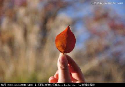 心情美文 一缕相思飘荡在深秋的夜里【心情美文】