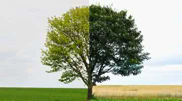 如何增强免疫力 春夏交替如何增强免疫力