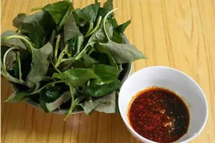 鱼腥草的功效与作用 你知道鱼腥草的功效与食疗方法吗?