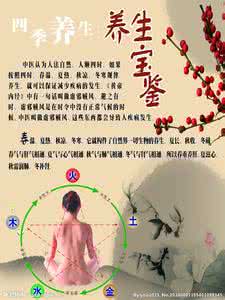 312经络锻炼法 简单高效养生法：三一二经络锻炼法（活用经络 - 山药社区 - 中里巴人官方论坛）