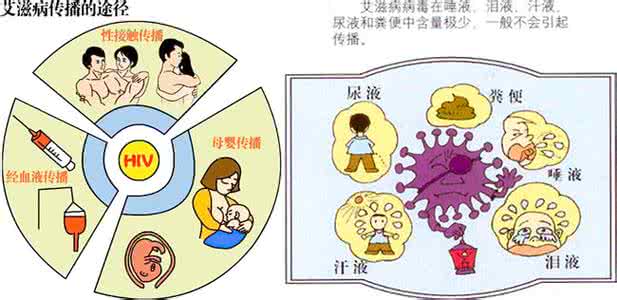 艾滋病传染几率有多大 艾滋病传染几率 正确理解艾滋传染几率