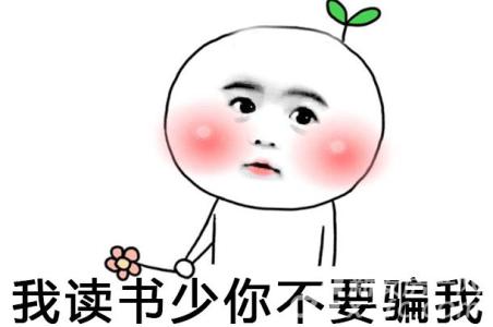 中国人根本不需要买房 哆啦a梦 中国人根本不需要买房？我读书少不要骗我