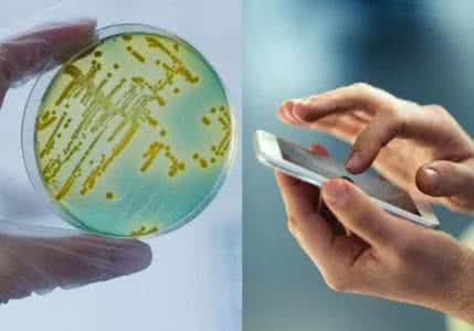 抗真菌细菌转基因植物 电子产品携带细菌量如此惊人 如何抗菌