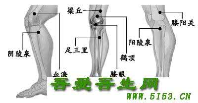 膝关节止痛药 刮痧止膝关节痛