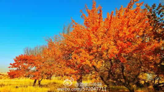 你身边的朋友决定你的 你的层次决定了你看到的风景