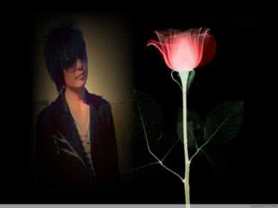 盛开的梅花像什么 让思念像花一样盛开