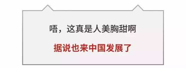 被岁月偷走的青春 是谁在你硬盘中偷走了青春的纸巾?