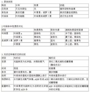 高中生物知识点总结 【2016高考备考】高中生物最全的知识对比图
