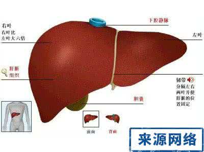 乙肝肝硬化到肝癌多长 乙肝 离肝硬化肝癌有多远