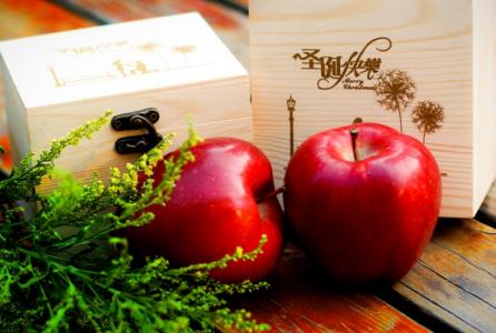 为什么平安夜要送苹果 平安夜为什么送苹果