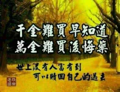 团队的力量 经典词句 苍桑人生之经典词句68!