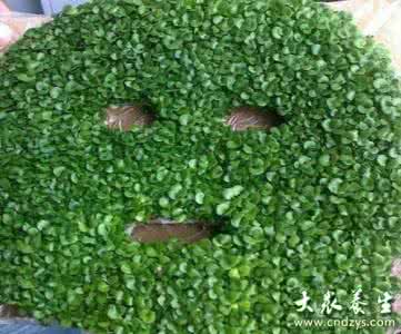 海藻面膜怎么样 海藻面膜 海藻面膜怎么样