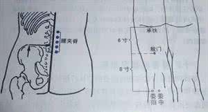 腰椎间盘突出艾灸图 腰椎间盘突出的详细艾灸方法,附有穴位图