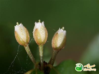 生命过客 善待生命中的过客(经典感悟)