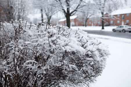 下雪了 下雪了，下雪了……