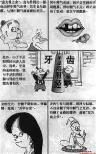 免费的中医讲座 经典中医图文讲座--第二十讲 贮藏精气的储藏室、生骨髓、主伎巧的  作强之官——肾(三)