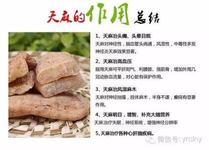 天麻的功效与副作用 天麻的副作用 天麻的三大功效与十大作用