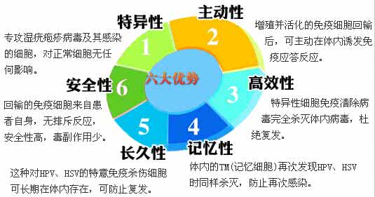 沈阳尖锐湿疣医院 沈阳尖锐湿疣