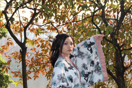 花月柔情无人解