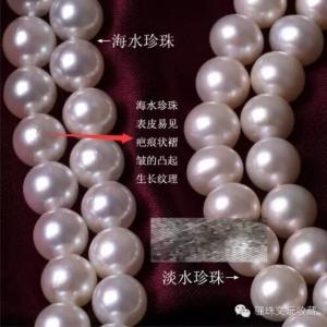 淡水珍珠和海水珍珠 海水珍珠 海水珍珠和淡水珍珠的区别