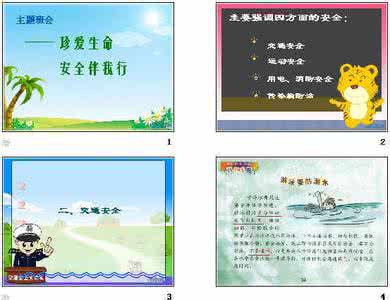 生命安全教育主题班会 生命安全主题班会范文
