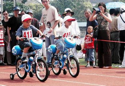 分类与整理参赛ppt 与儿子一起参赛