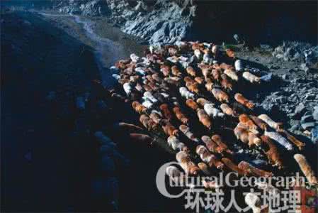 新疆石人 新疆切尔木切克：死亡牧场和神秘石人