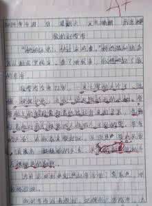我的 奶奶作文900字