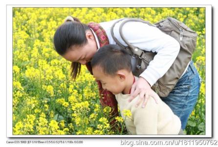 踏青带什么吃的 踏青就去这十个连玩带吃的好去处，春天就要二次方的浪!起!来!