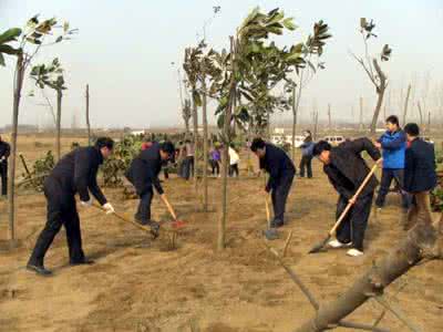 新中国的扫盲运动 新中国植树运动的成效
