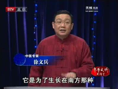 徐文兵黄帝内经全集 BTV-《中华文明大讲堂--(徐文兵)黄帝内经》全集视频
