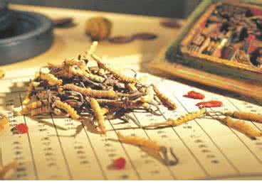 根治近视神奇民间秘方 【中医秘方】治疗肺癌秘方，晚期九个月神奇根治