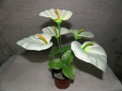 插花常用花材名称 插花常用工具